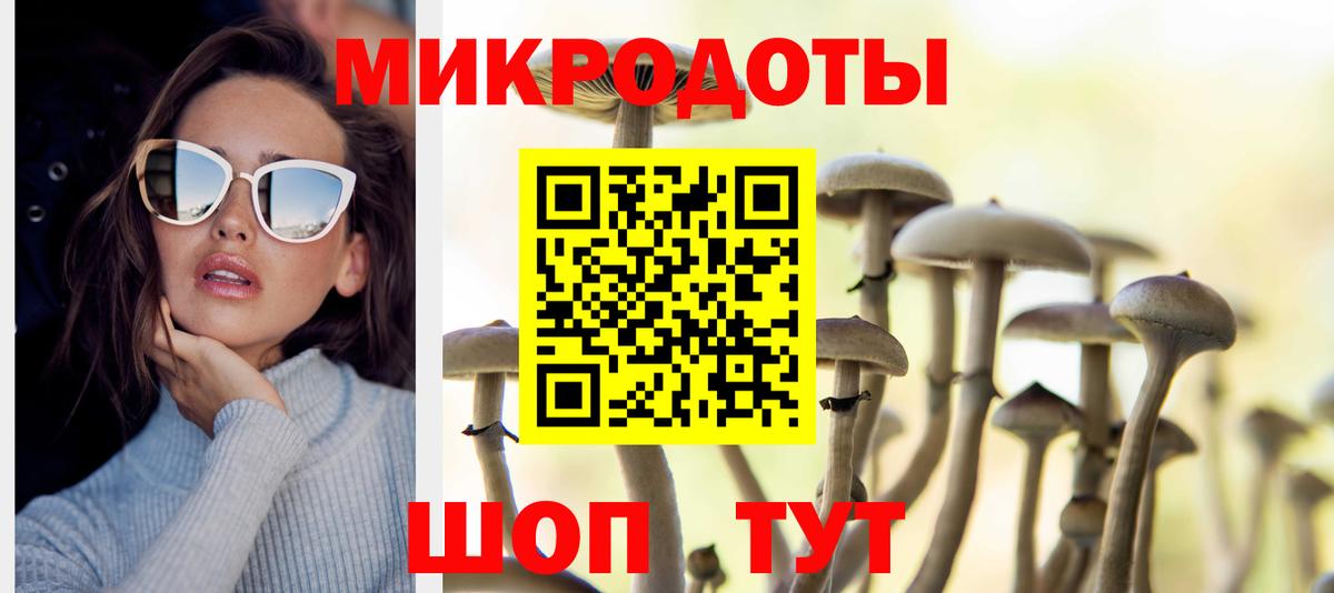 Галлюциногенные грибы прущие грибы  Вход с VPN  Саранск 